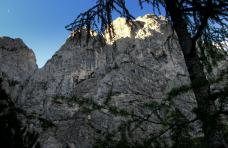 Klik za večjo sliko